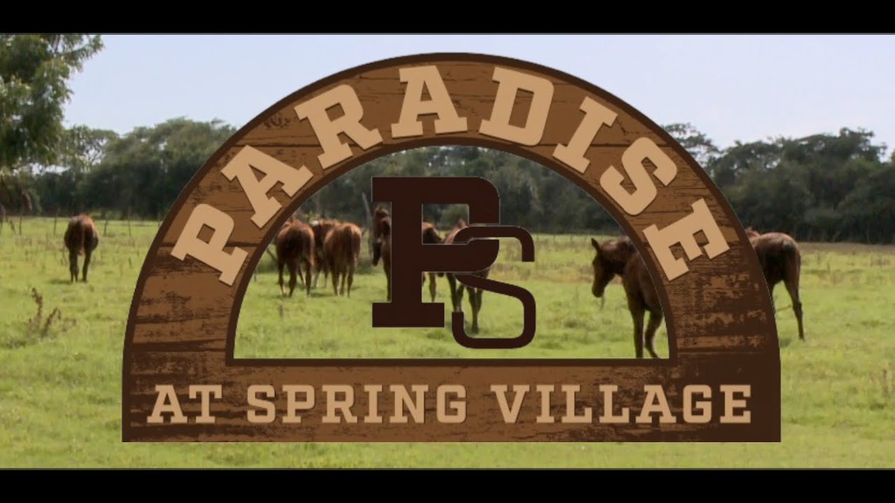 Paradise At Spring Village - 2026 Stallion Show