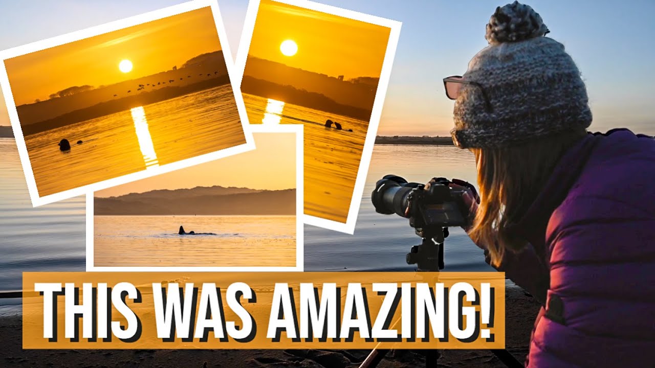 Combining Landscape Photography with Wildlife Photography | Real Time in the Field Shoot