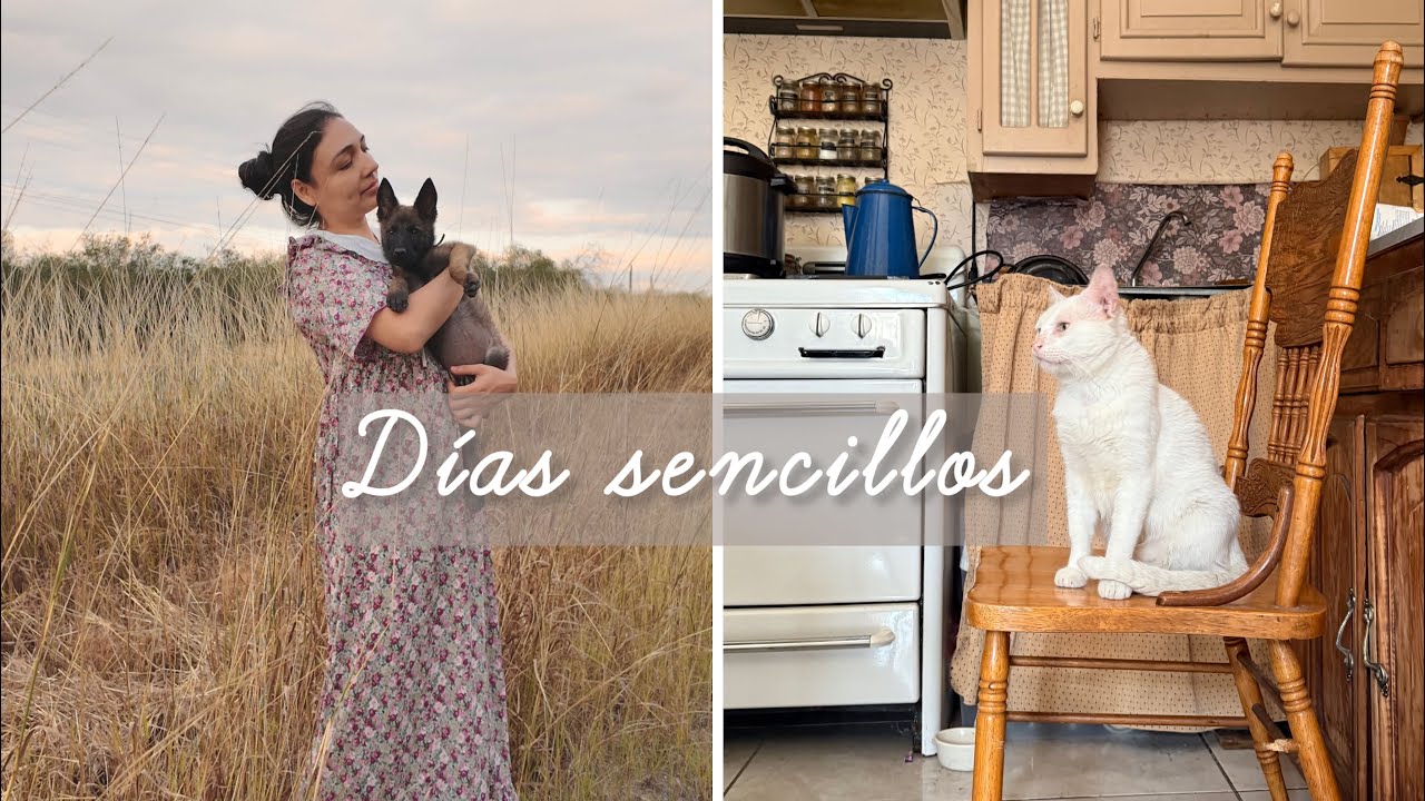Vida simple en casa | Compras de segunda mano & Rutina