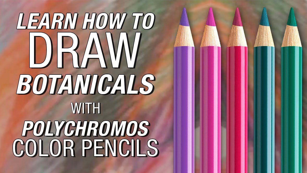 Демонстрация цветных карандашей Faber-Castell Polychromos