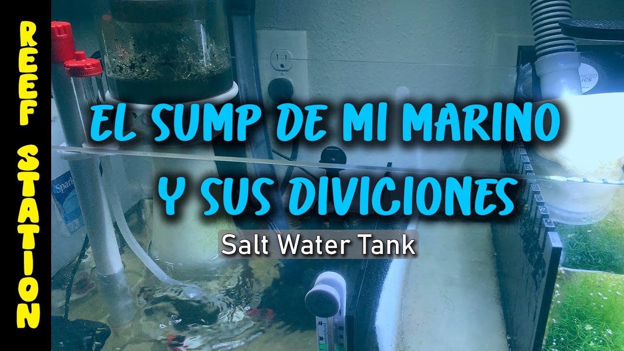 Diviciones del Sump de Mi Acuario Marino