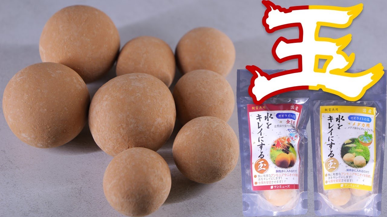 【水質調整剤】入れるだけでアンモニアを取るところを見たかった・・・何で管理が行き届いているんだよ…サンミューズ ゼオライトの玉金魚用/メダカ用【ふぶきテトラ】