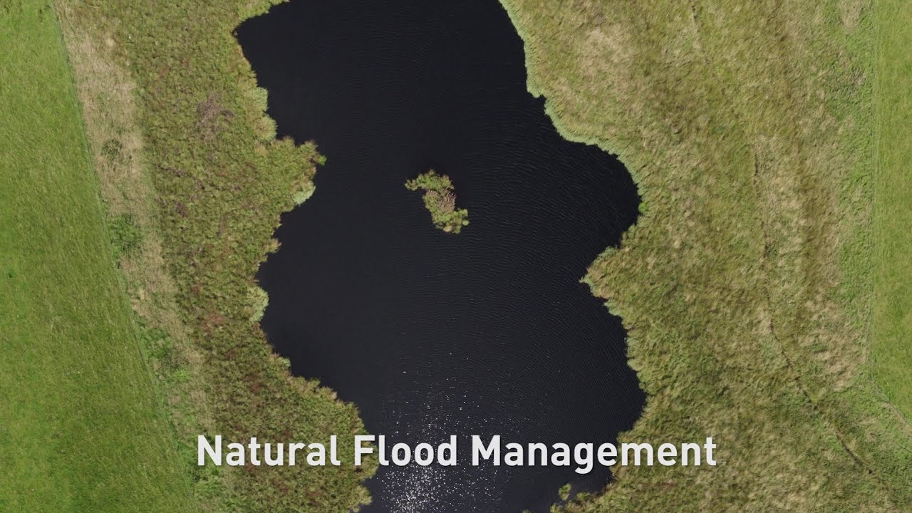 Eddleston Water Project - Building with Nature (full version)