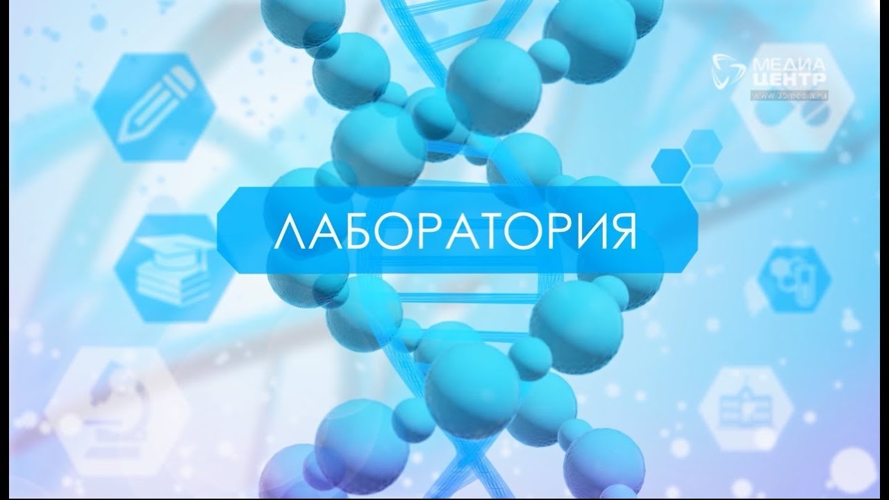 Лаборатория 04.03.19