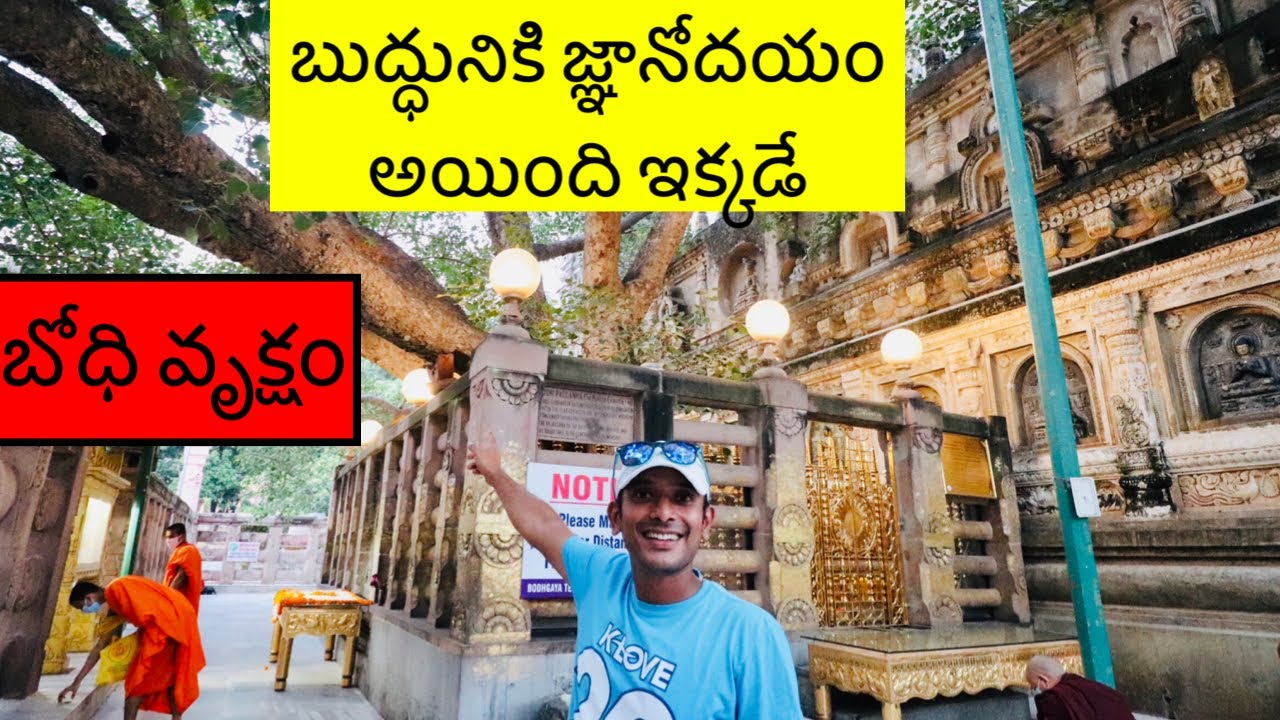 Bodhi Tree In Bodhgaya | Telugu Vlogs | Naa Anveshana | Surprising Facts About Buddhism