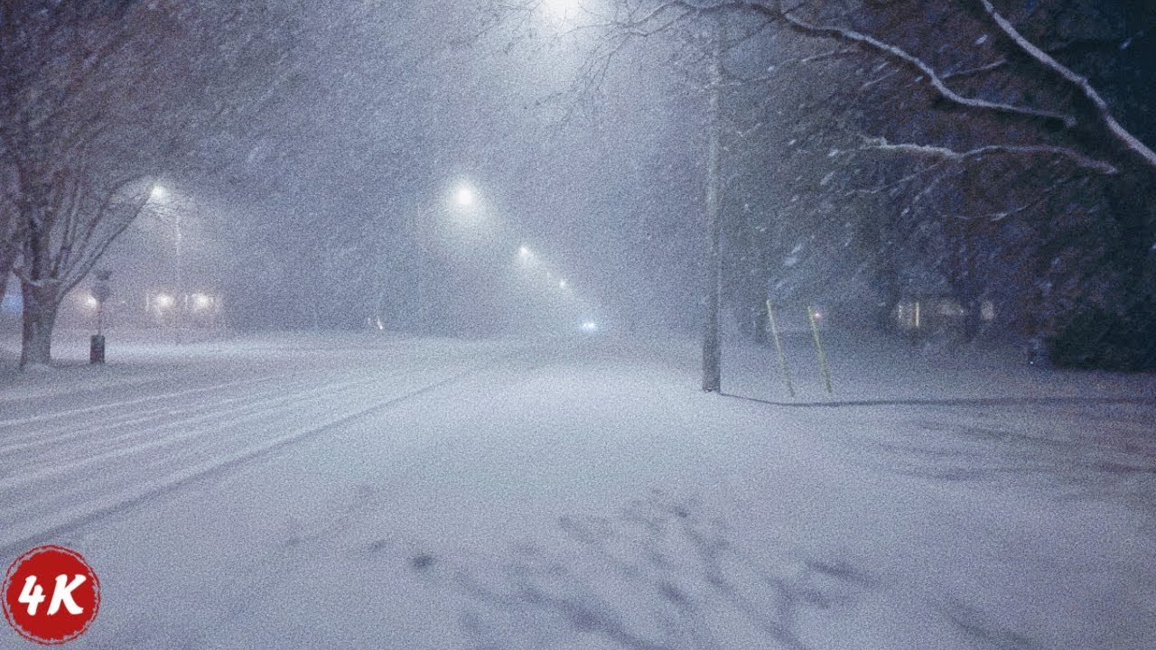 Nighttime Snow Squall Walk - Blizzard Sounds & Footsteps in a Quiet Canadian Neighborhood