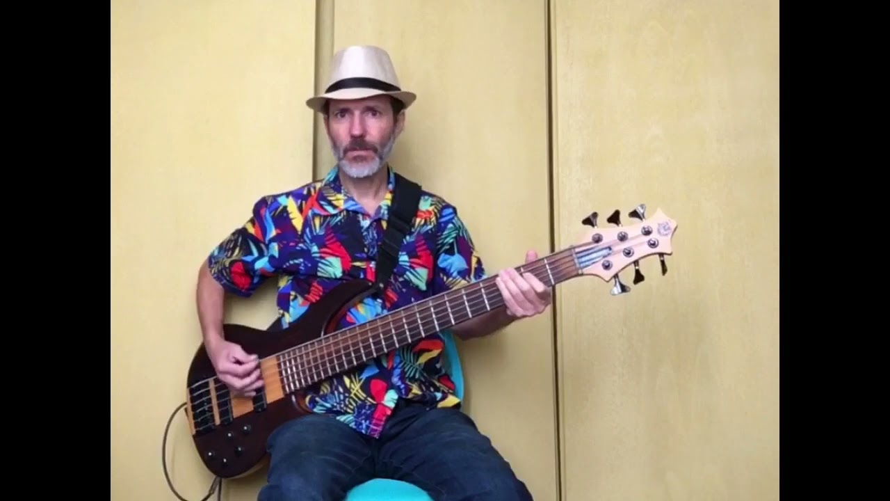 Echo and The Bunnymen - Lips Like Sugar (Bass Cover)