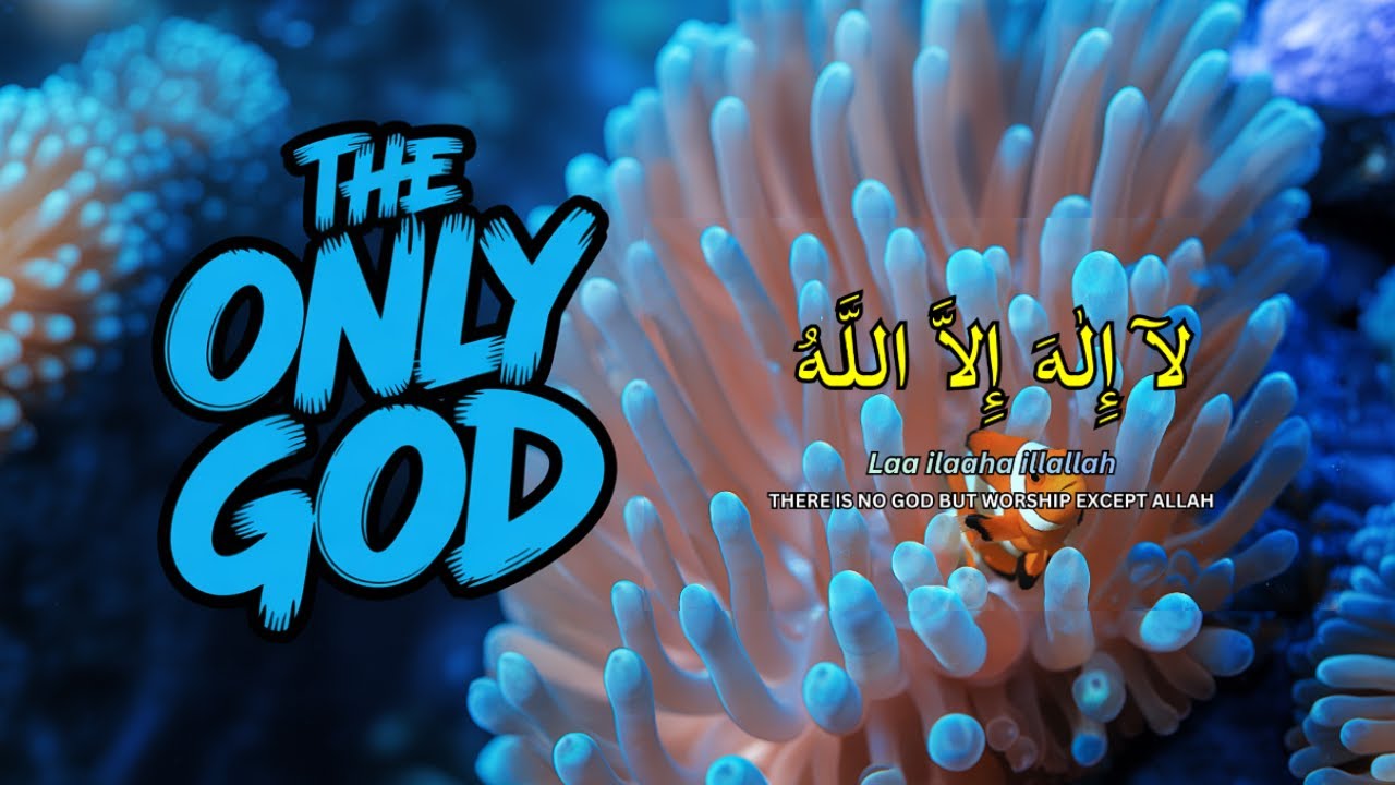 LAILAHAILLALLAH: Daily Dzikir for Instant Calm & Stress Relief