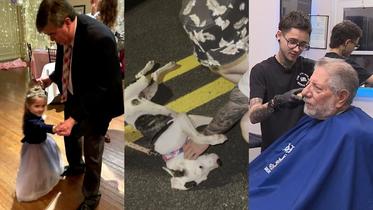Experience the Most Heartwarming Moments of 2024