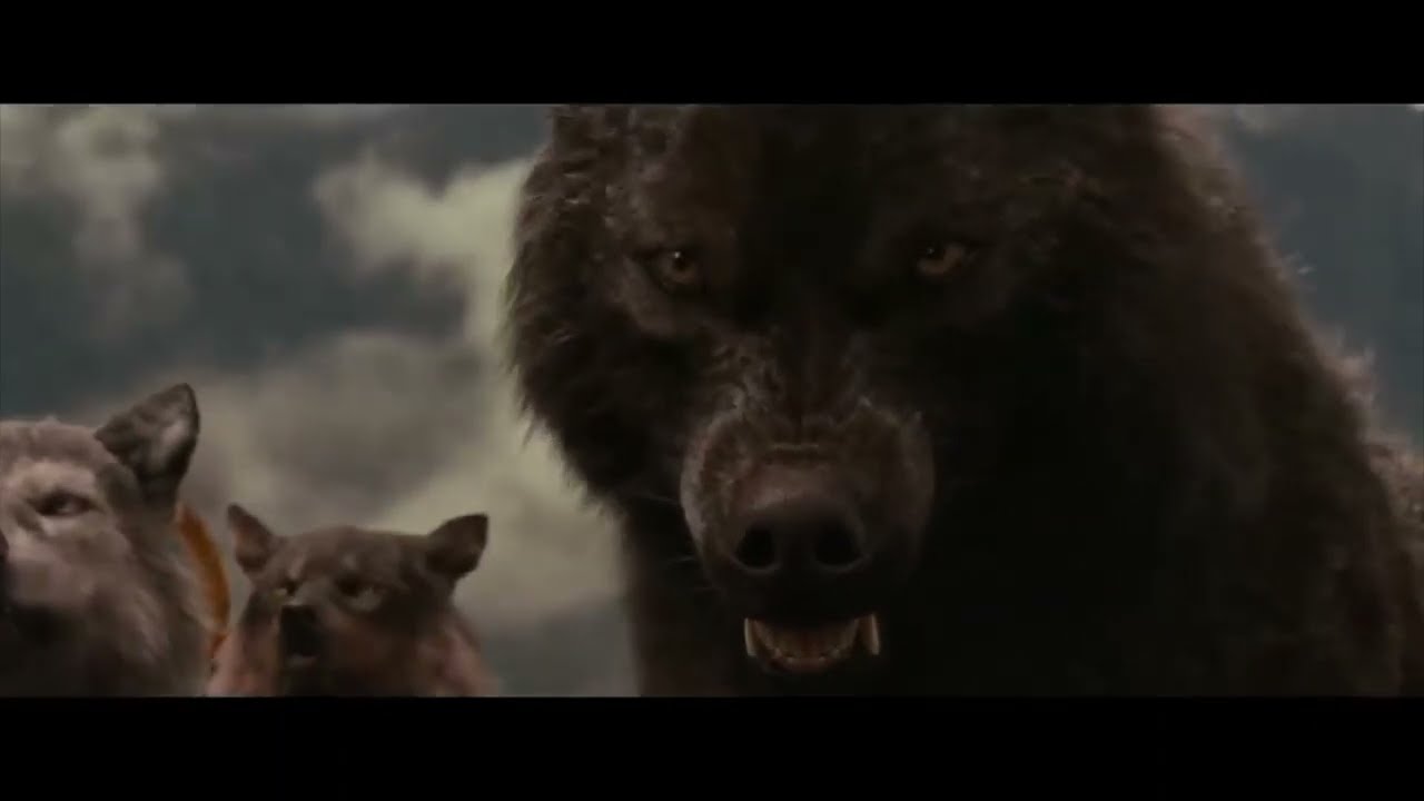 Twilight wolves: Bones ( Imagine dragons )