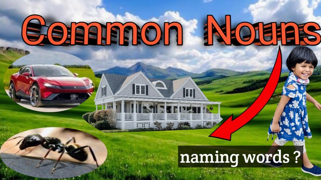 Common Nouns / English grammar tutorial  for kids and beginners & olgaTVEnglish 