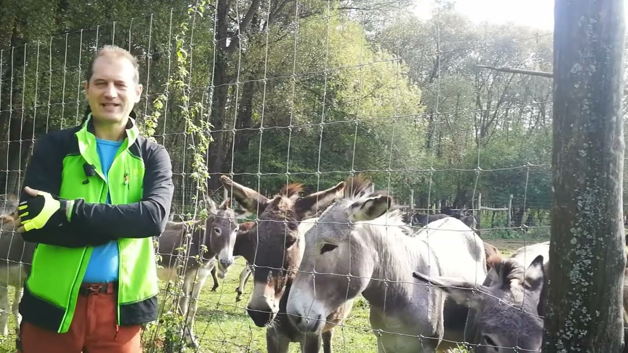 Méhészetfejlesztő Agytröszt Program 2025
