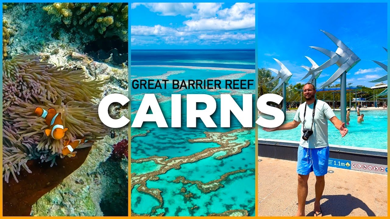 CAIRNS City & Great Barrier Reef 🇦🇺 – Snorkeling, Green Island & Wildlife Adventure 🐠🦈