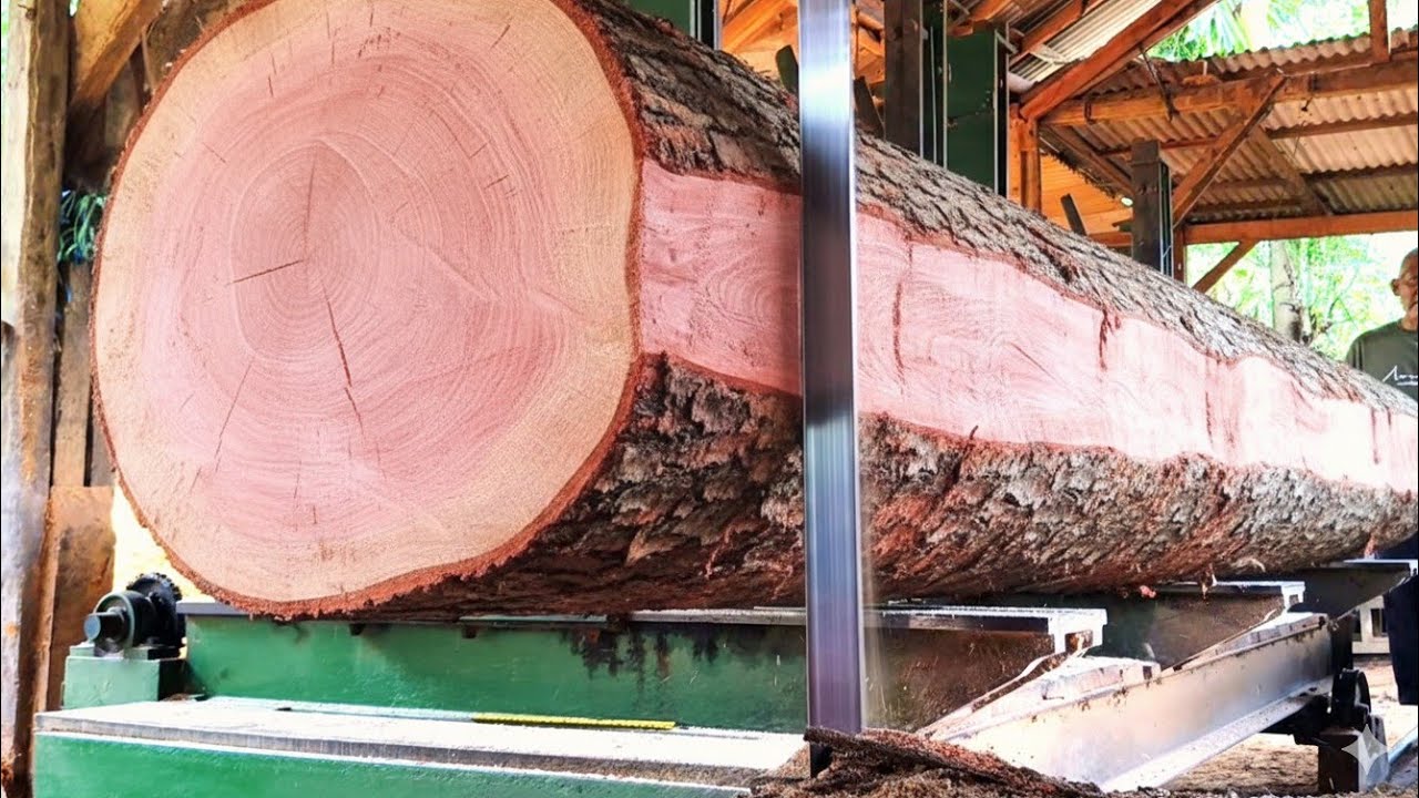The sawn wood looks like it's on fire. Does anyone know what kind of wood this is?