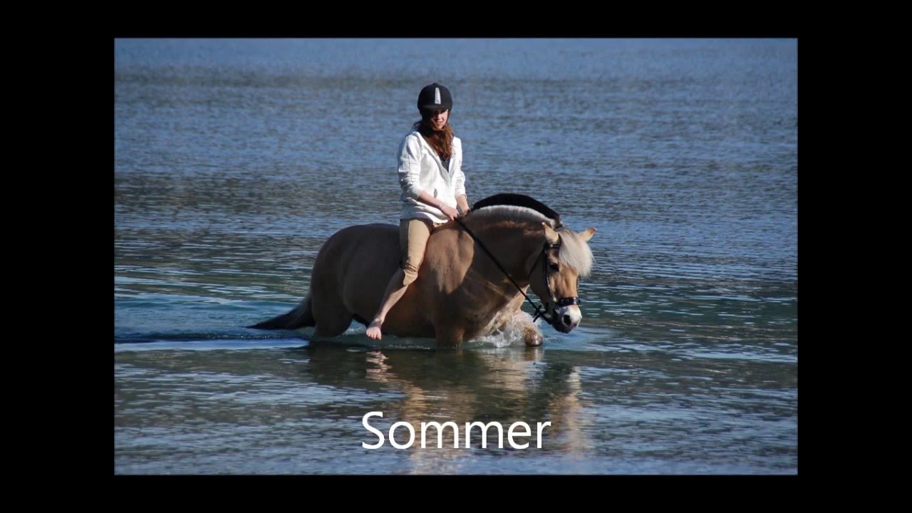 Introfilm til hest.no
