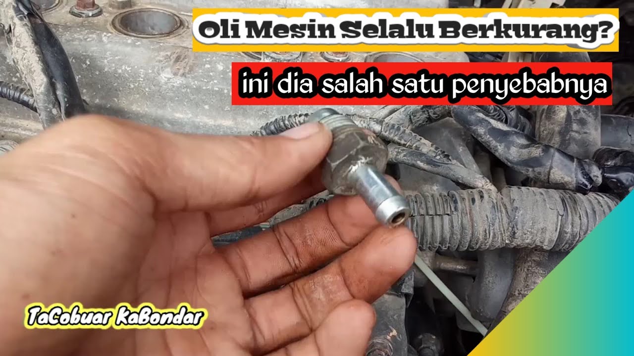 Penyebab Oli Mesin Vios Limo Selalu Berkurang