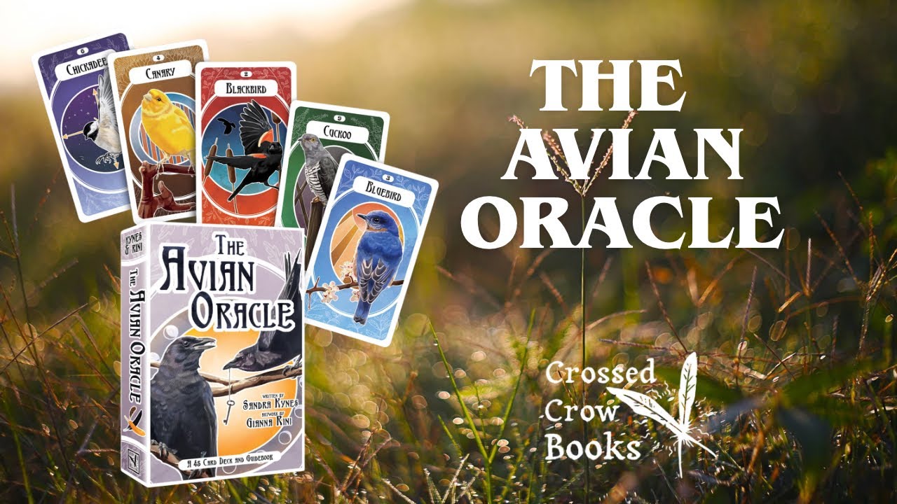 The Avian Oracle 🦉✨🌿| A Mystical Flight Through Bird Magic & Divination@crossedcrowbooks3482