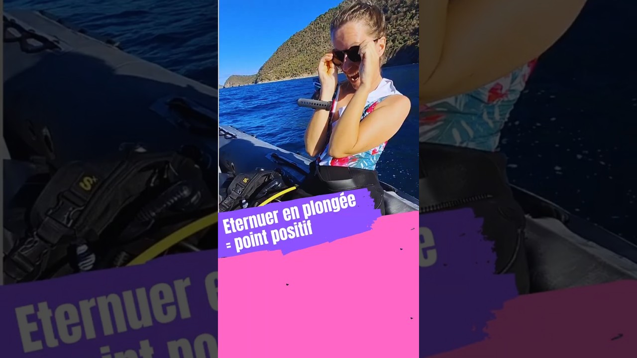 Plong&eacute;e en France et en Guadeloupe avec la ffessm. #plongee #plong&eacute;esousmarine #diving #ffessm