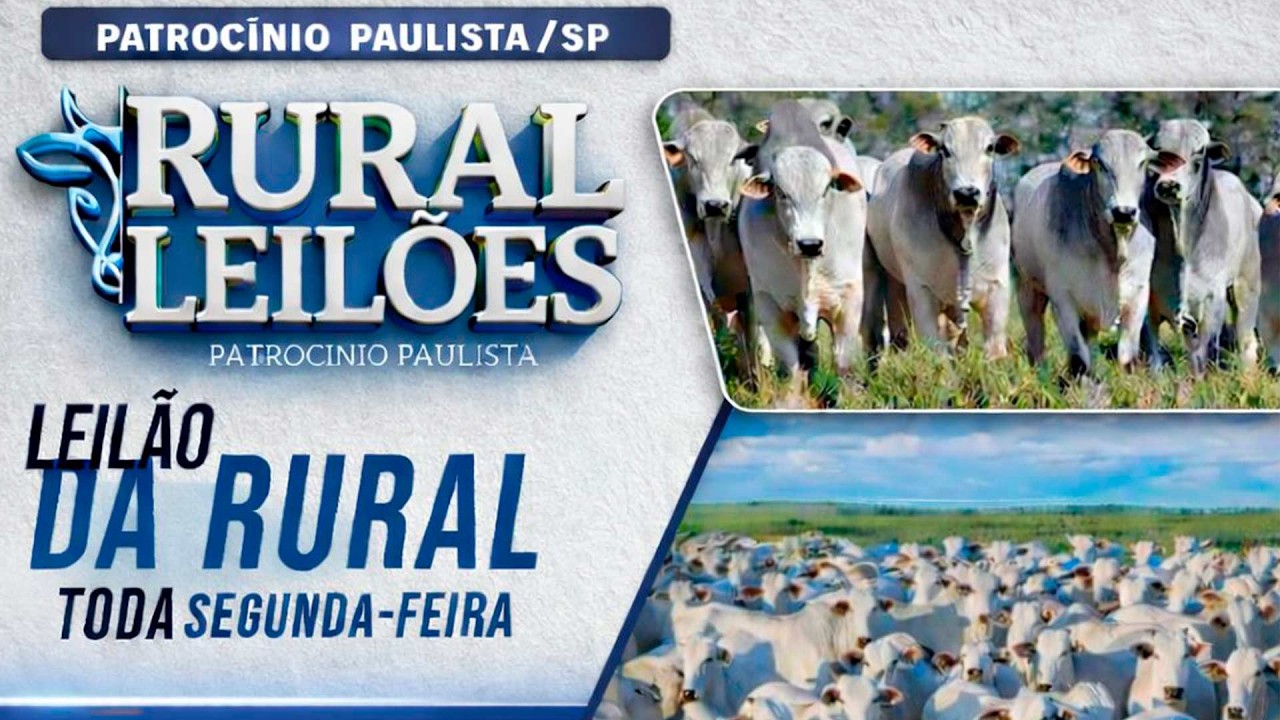 ✅📌 Leilão Virtual e Presencial Rural Leilões - Patrocínio Paulista/SP