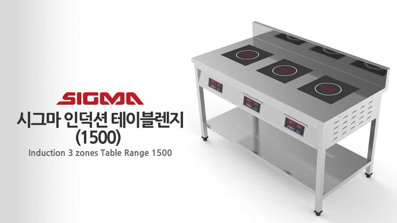 식당에 이거 하나 없다고? 시그마 인덕션 테이블 렌지