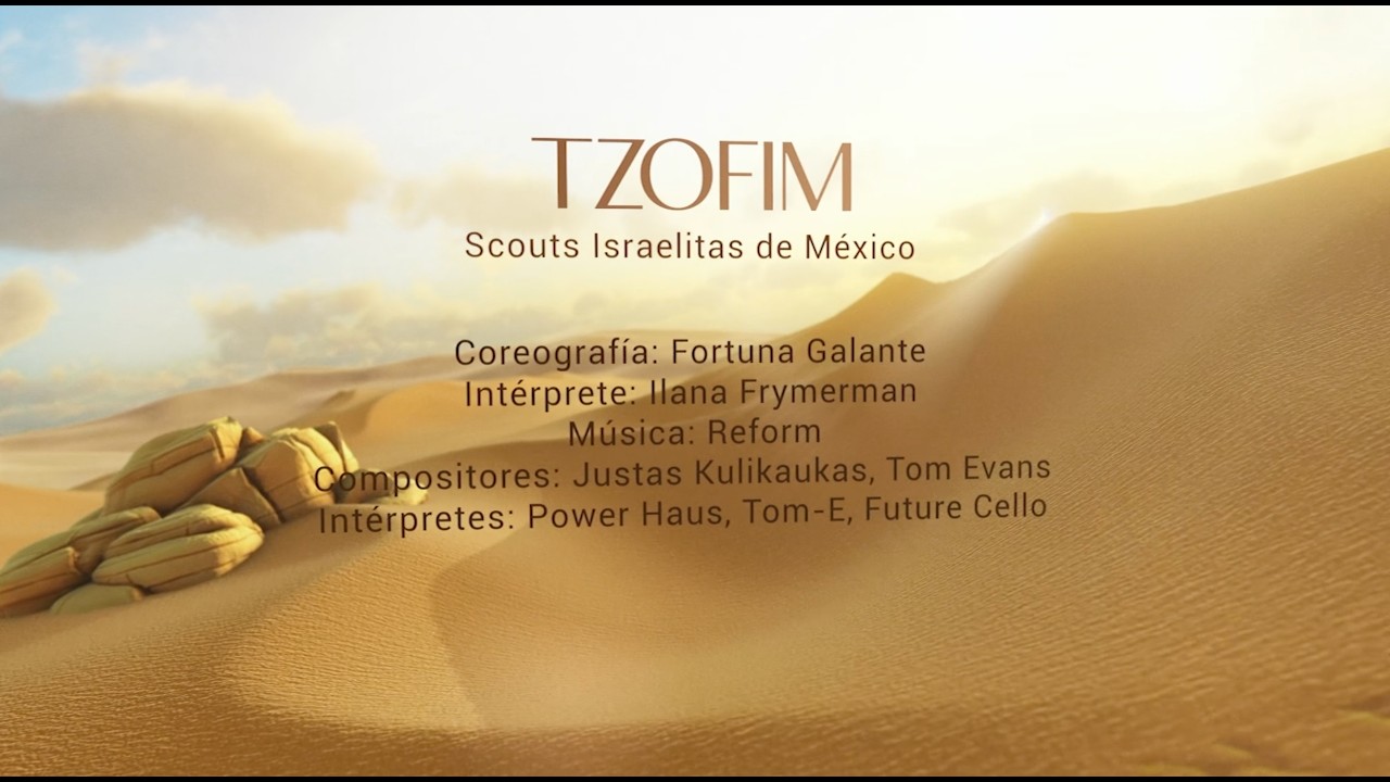 52 FESTIVAL AVIV - TZOFIM