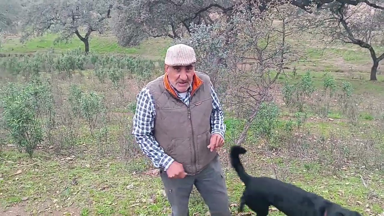 me faltan las tardes con los ibericos, está ha sido un poco rara