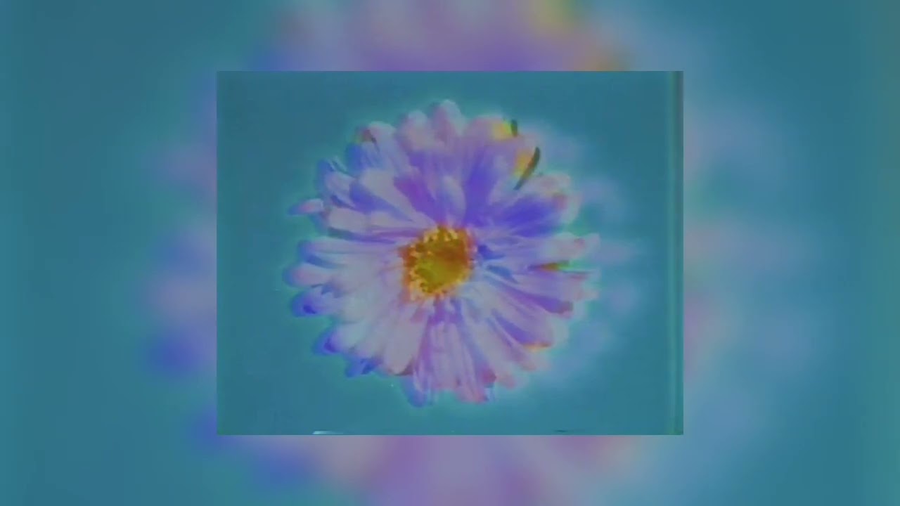 WILDFLOWER\5SOS - |SPED UP~