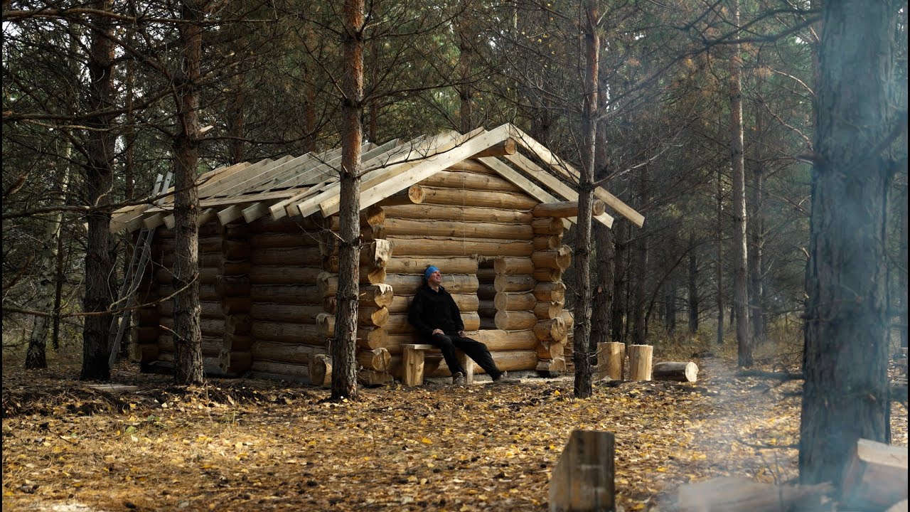 I live in a COZY ISLAND outside of civilization and I'm building a LOG CABIN
