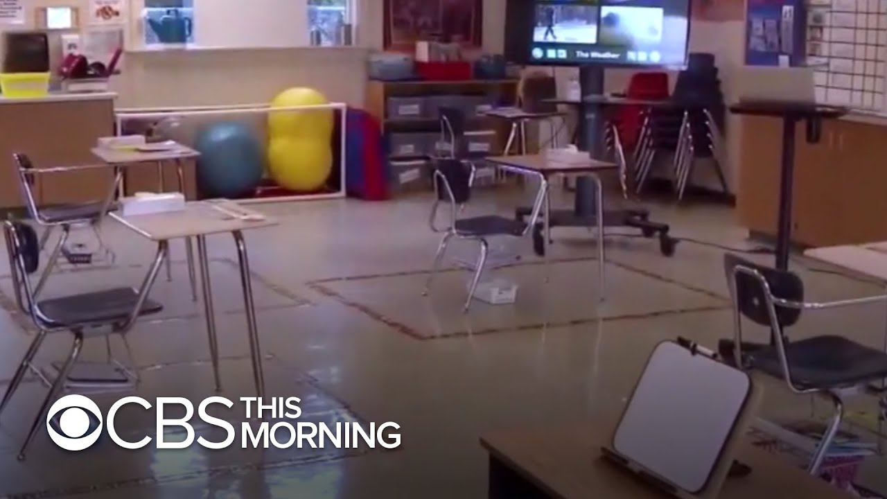 School districts go virtual as some officials say classrooms should open