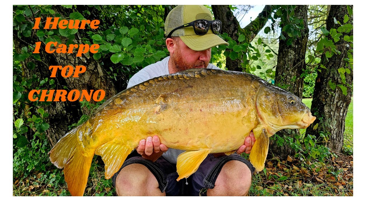 PÊCHE ULTRA RAPIDE //PÊCHE DE LA CARPE//
