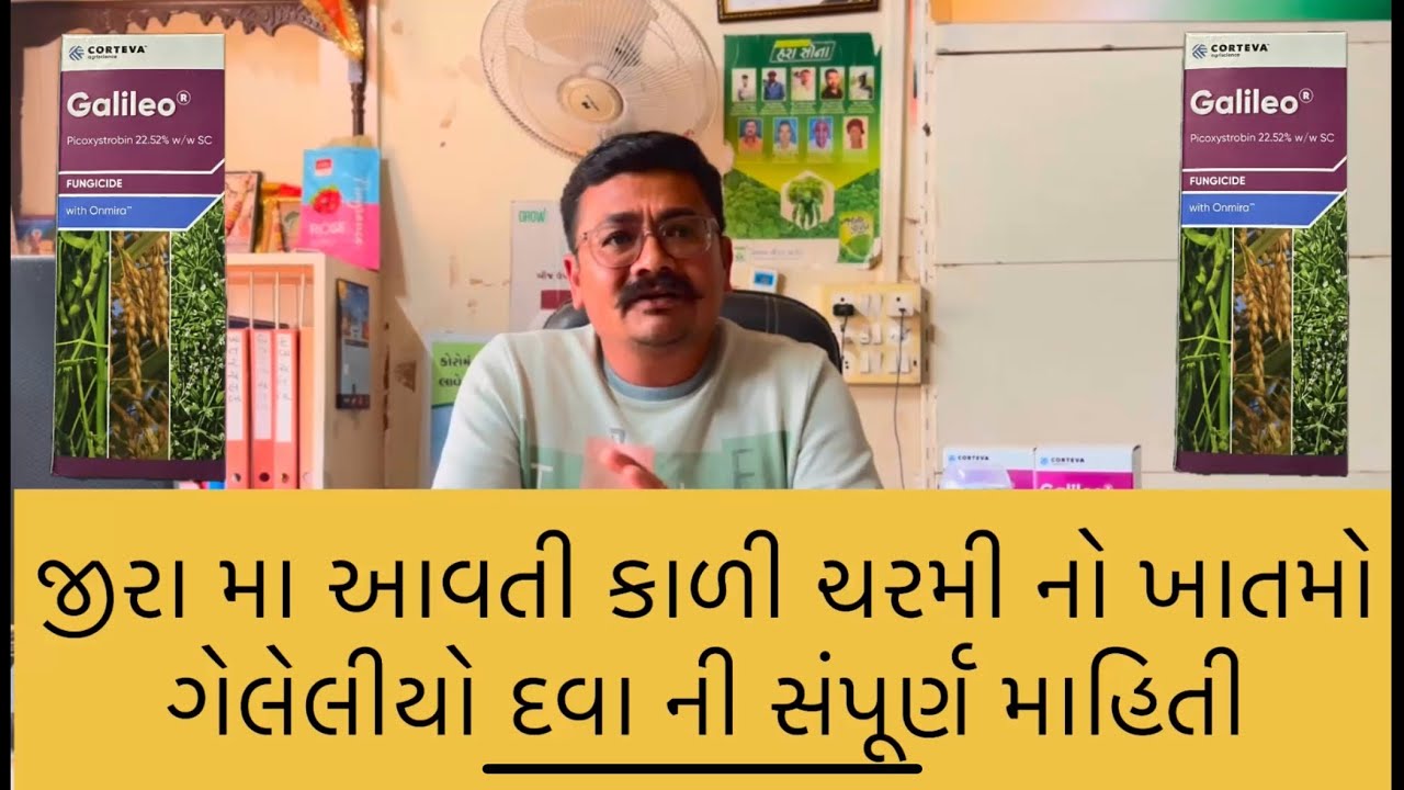 જીરુ મા કાળી ચરમી નો ખાતમો ।ગેલેલીયો દવાની સંપૂર્ણ માહિતી #galileo