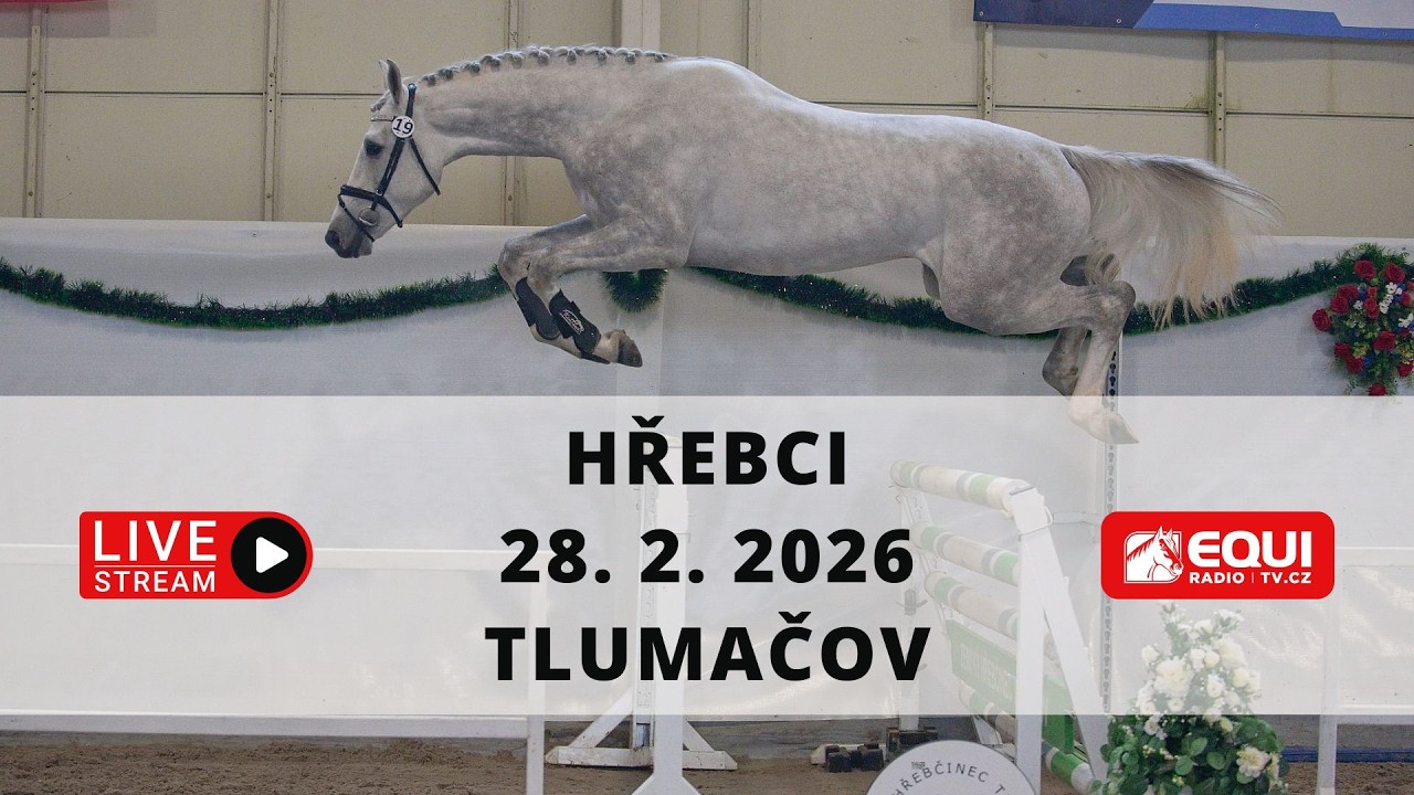ŽIVĚ 🔴 | hřebci ČT Tlumačov – 28. 2. 2026