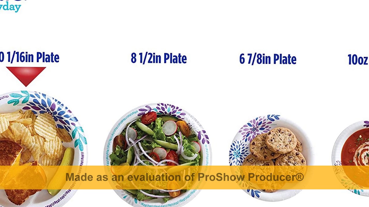 Dixie Everyday Paper Plates,10 1/16