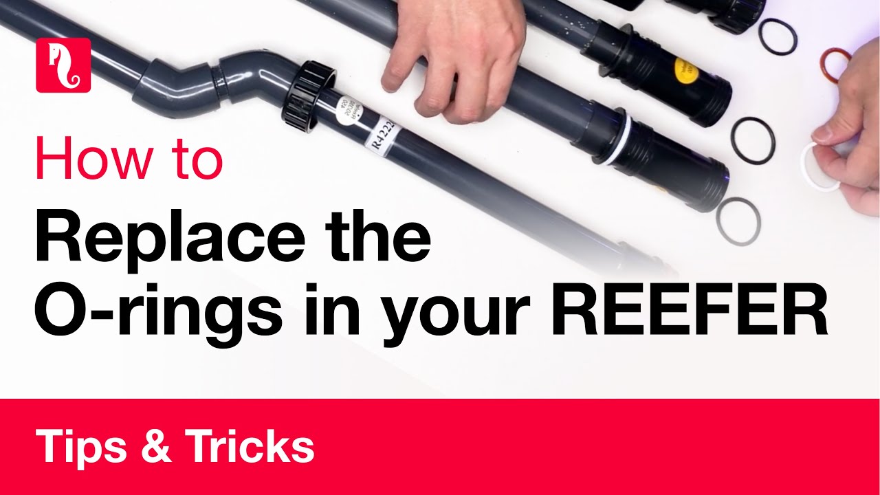 How to replace the O-rings in a REEFER