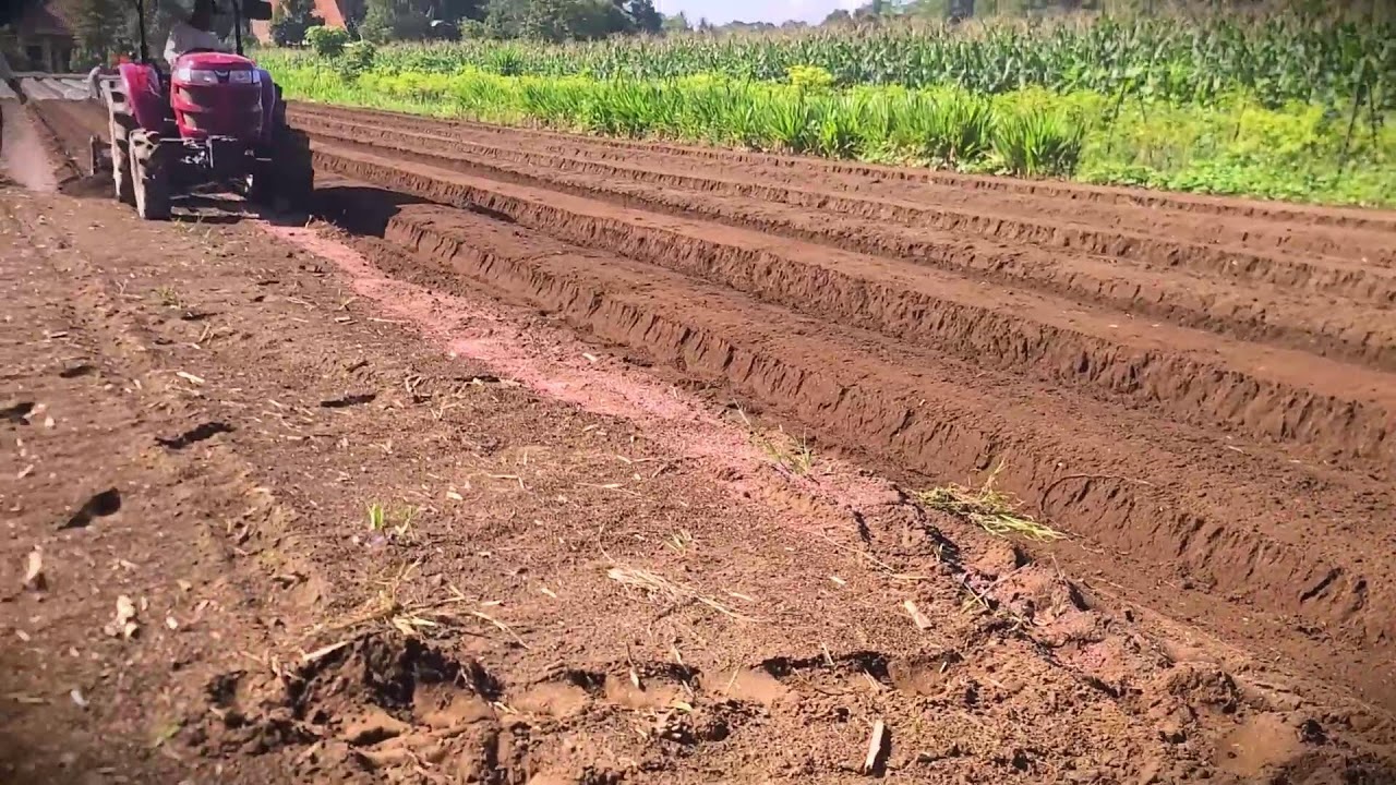 Field Engineering: Professional Land Shaping with Machinery #RuralAgriculture #TraditionalFarming