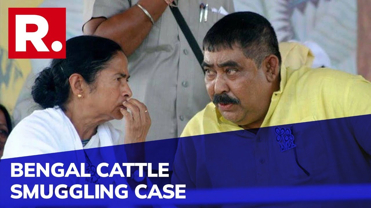 Cattle Smuggling Case: Delhi Court Reserves Order; Order To Be Pronounced On Monday