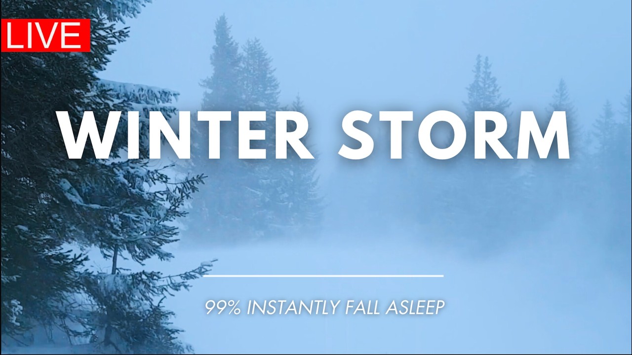 🔴 Snow Storm in Forest | NO ADS | Winter Storm & Howling Wind Sounds For Sleeping