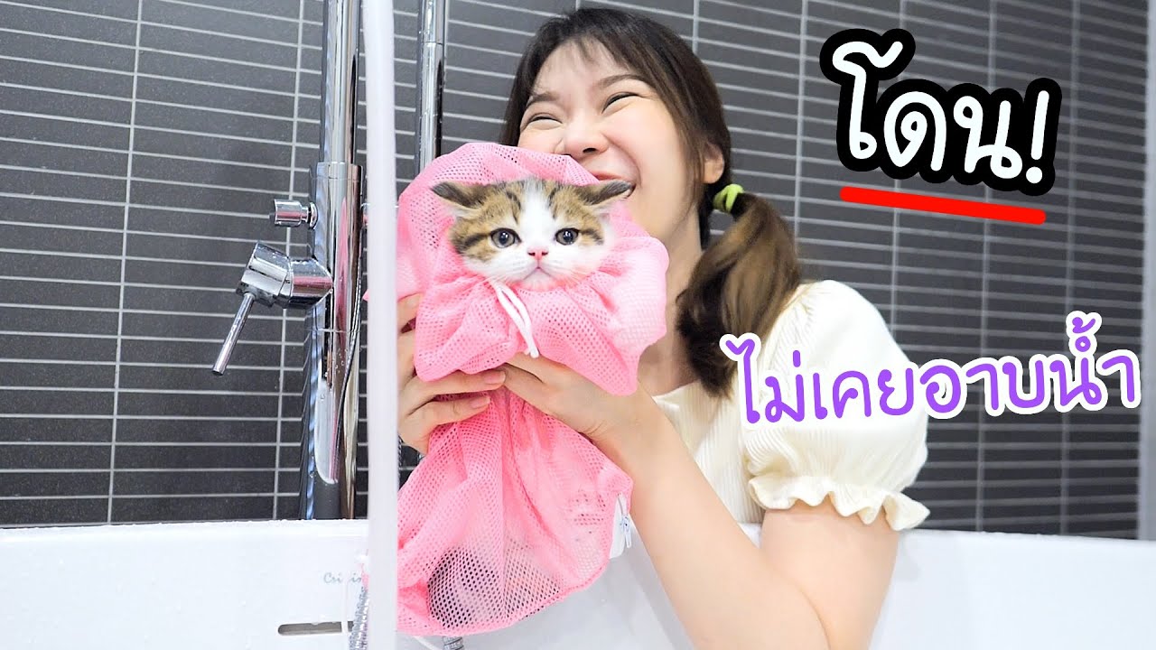 อาบนํ้าแมวให้เปาจึครั้งแรก! (แมวเด็ก)ไม่เคยโดนน้ำมาก่อนในชีวิต