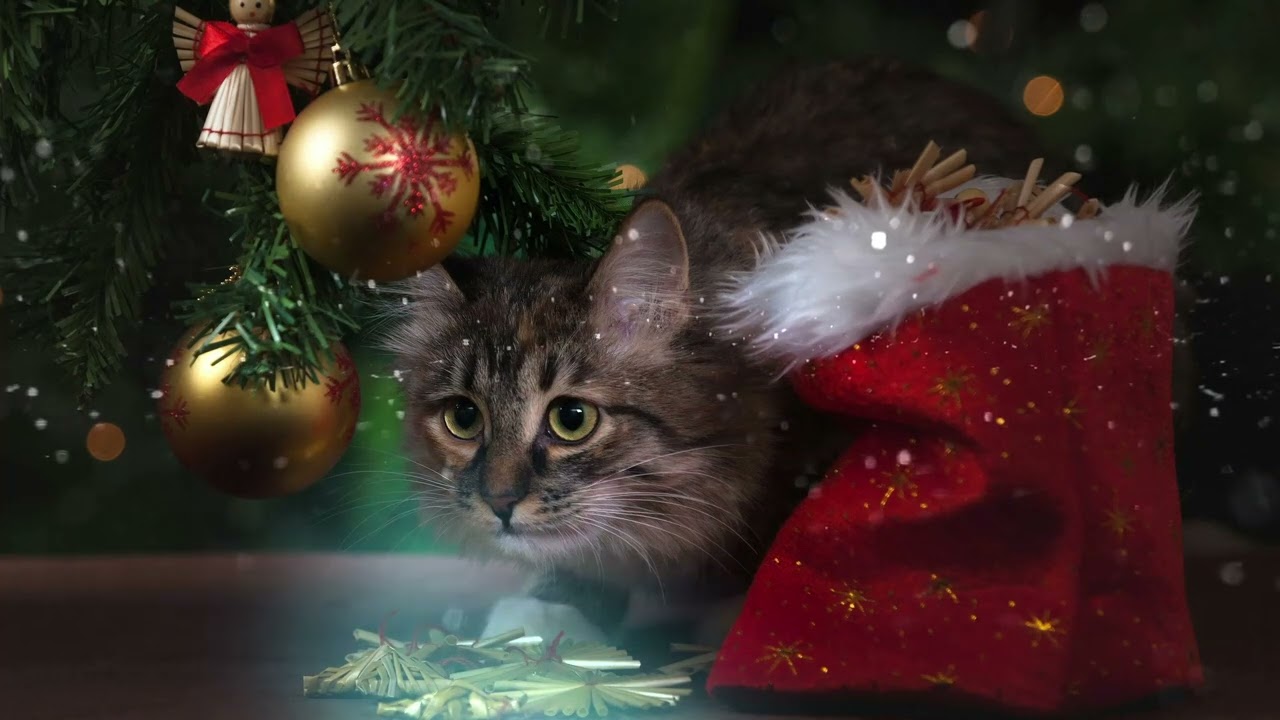 Binaural Christmas - Ambient Music - Binaural Beats 4Hz for sleep and relaxation