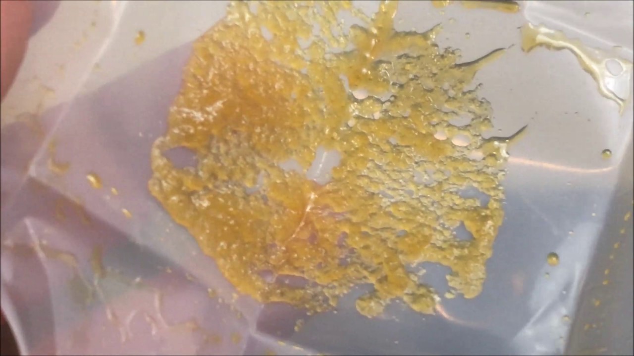 Recreational Cannabis Review of Kimbo Kush Terp Sugar By Skord Marijuana
