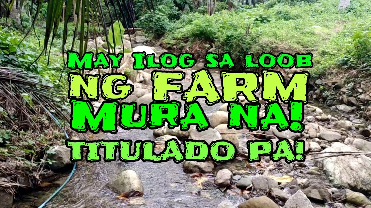 V#1005 | May ilog sa loob ng Farm | Mura na TITLE pa! | Lopez Quezon