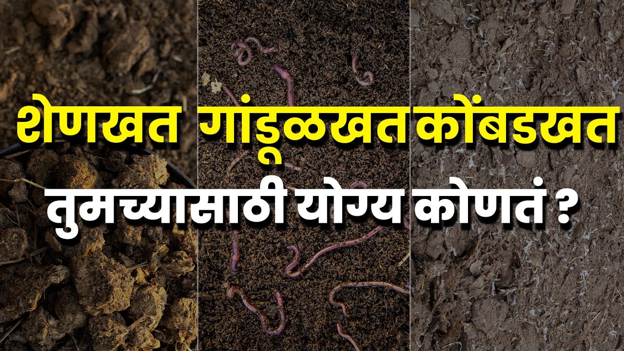 शेणखत, गांडूळखत की कोंबडखत | शेतकऱ्यांसाठी सर्वोत्तम सेंद्रिय खत कोणतं Agrostar organic fertilizers