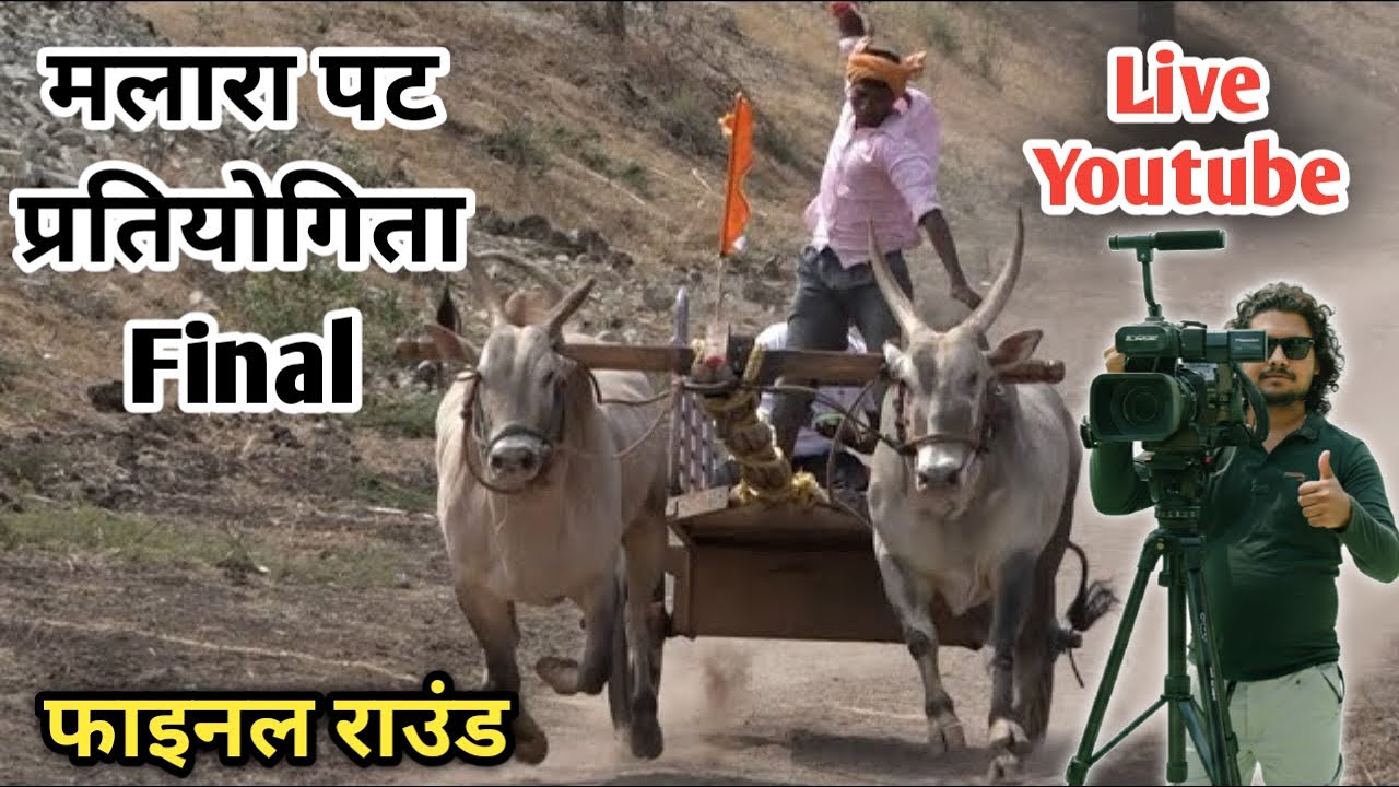 Final Malara Pat 🙆 फाइनल  मलारा पट प्रतियोगिता Live ❤ Ox Race ✌Pat Pratiyogita video 🙋 Ox Race