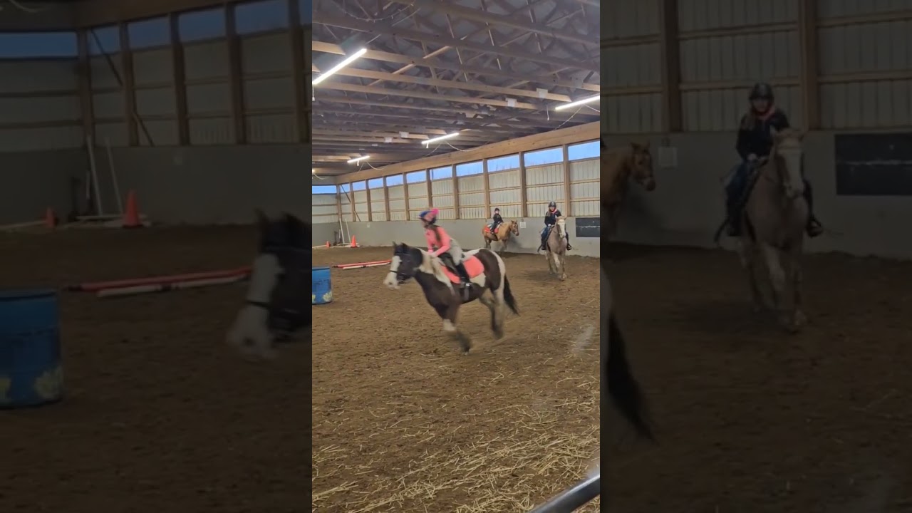 New helmet cover! Two-pointing at a canter xx #fypシ #horse #equestrian