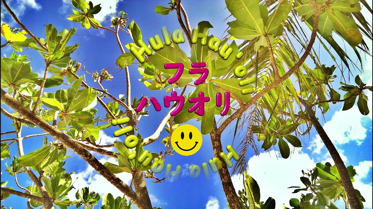 【Kawelu / カヴェル】やってみよ～💗フラ ハウオリの基礎レッスン🌈Part 10