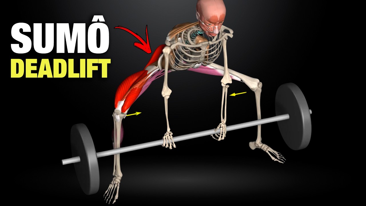 Levantamento terra Sumô - Análise Biomecânica [BIOMECÂNICA DA MUSCULAÇÃO]