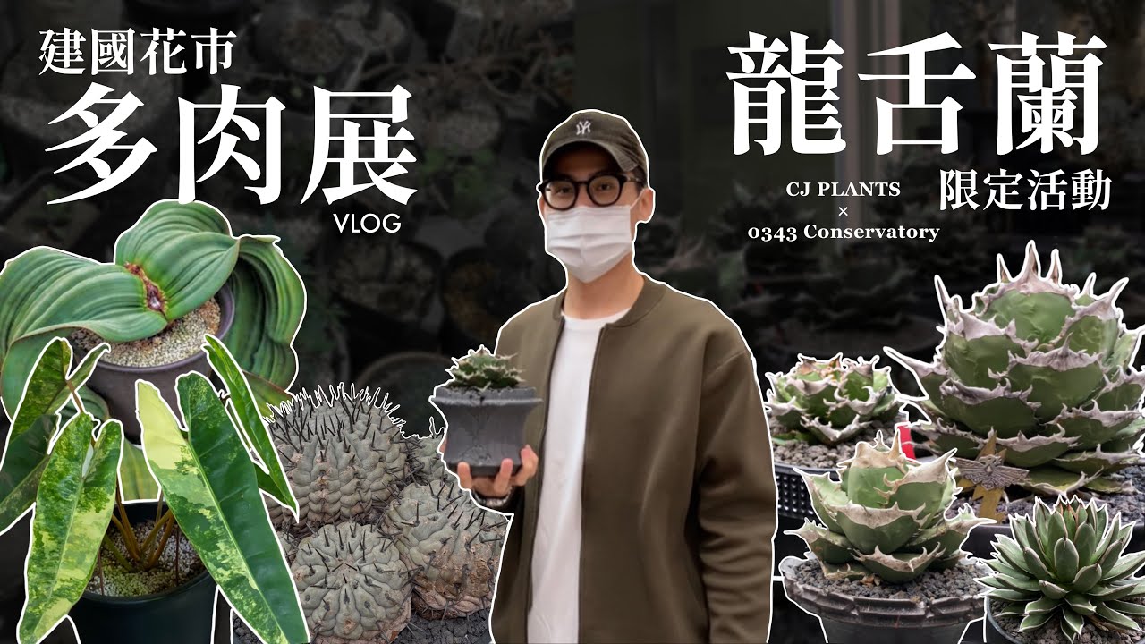 一日建國多肉展&龍舌蘭限定活動!!見百萬珍奇植物,荷包也難保啊?!【VLOG】