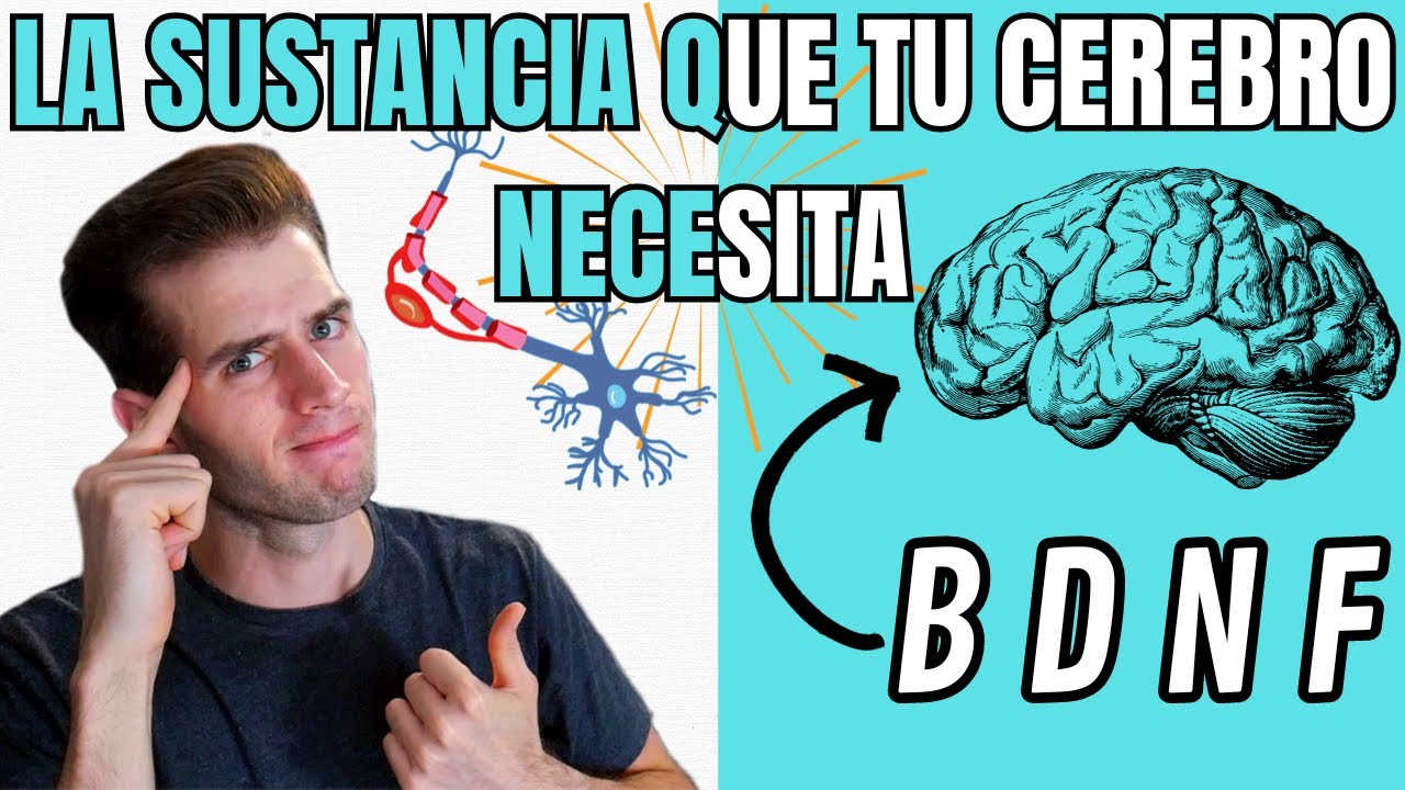 BDNF la SUSTANCIA que tu CEREBRO NECESITA