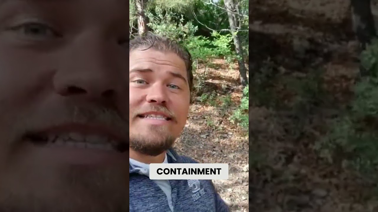 Kennan's Strategy: Containment