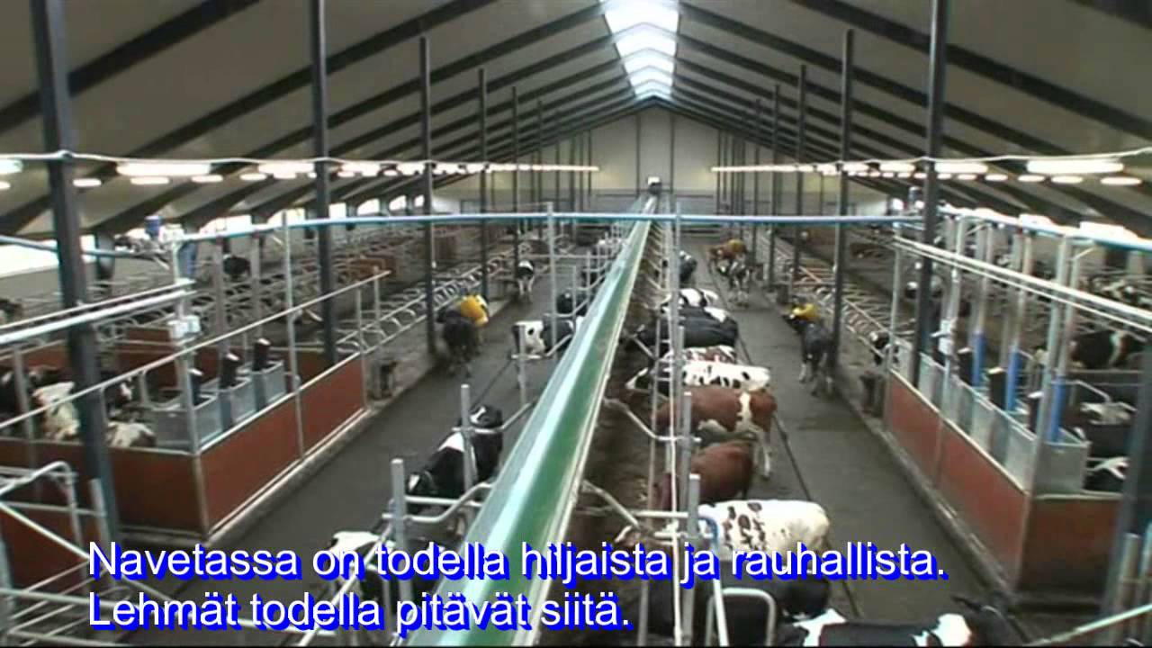DeLaval VMS-lypsyrobotti Kraftin Maitotilalla Ruotsissa - Suomenkielinen Tekstitys | DeLaval